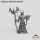 Undead Necromancer