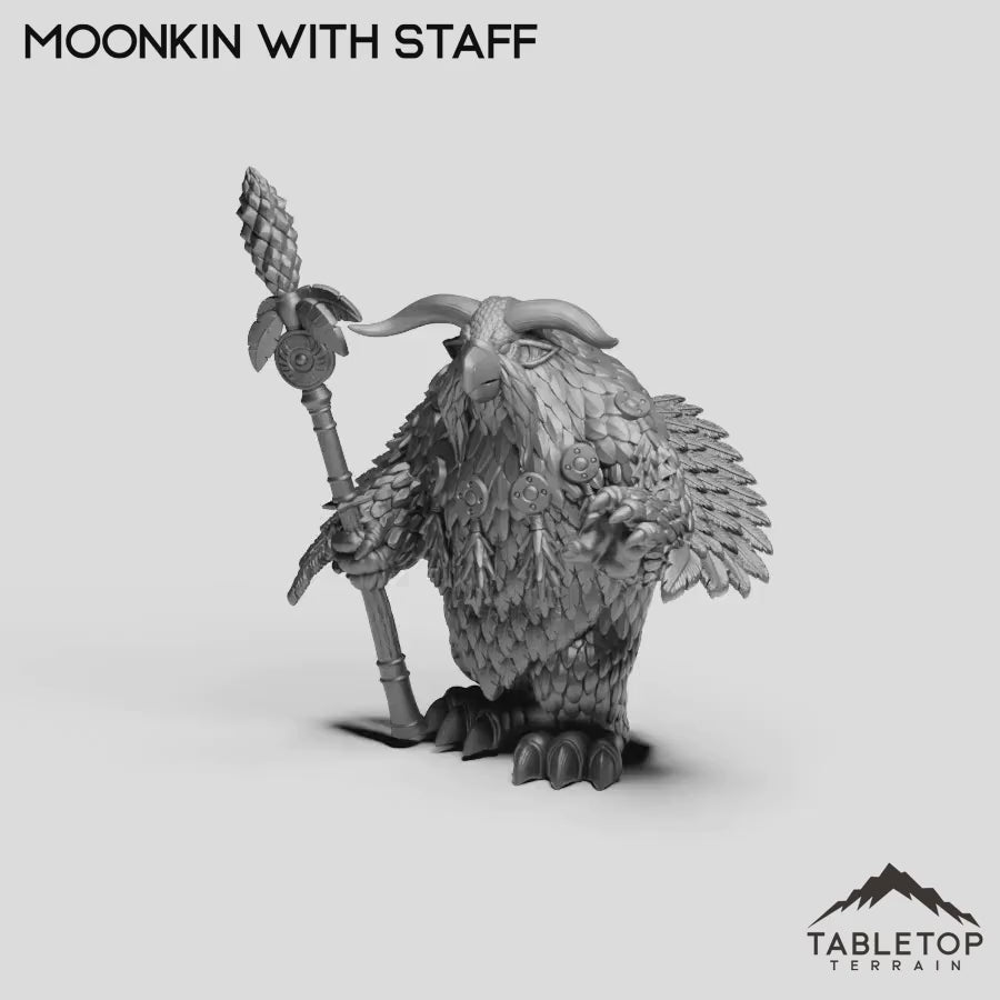 Moonkin With Staff