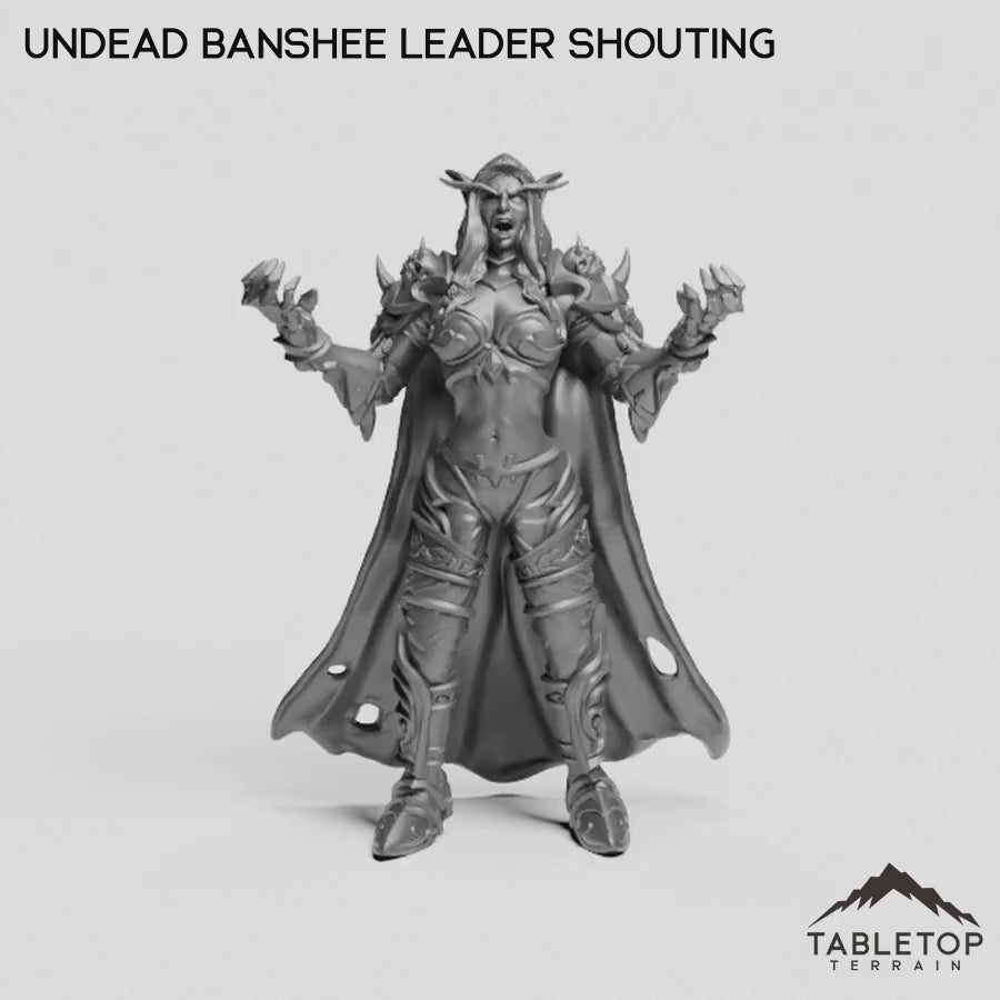 Undead Banshee Leader Shouting