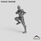 Kongo Savane