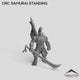 Orc Samurai Standing