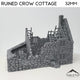 Ruined Crow Cottage - Country & King - Fantasy Historical Ruins