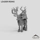 Leader Riding