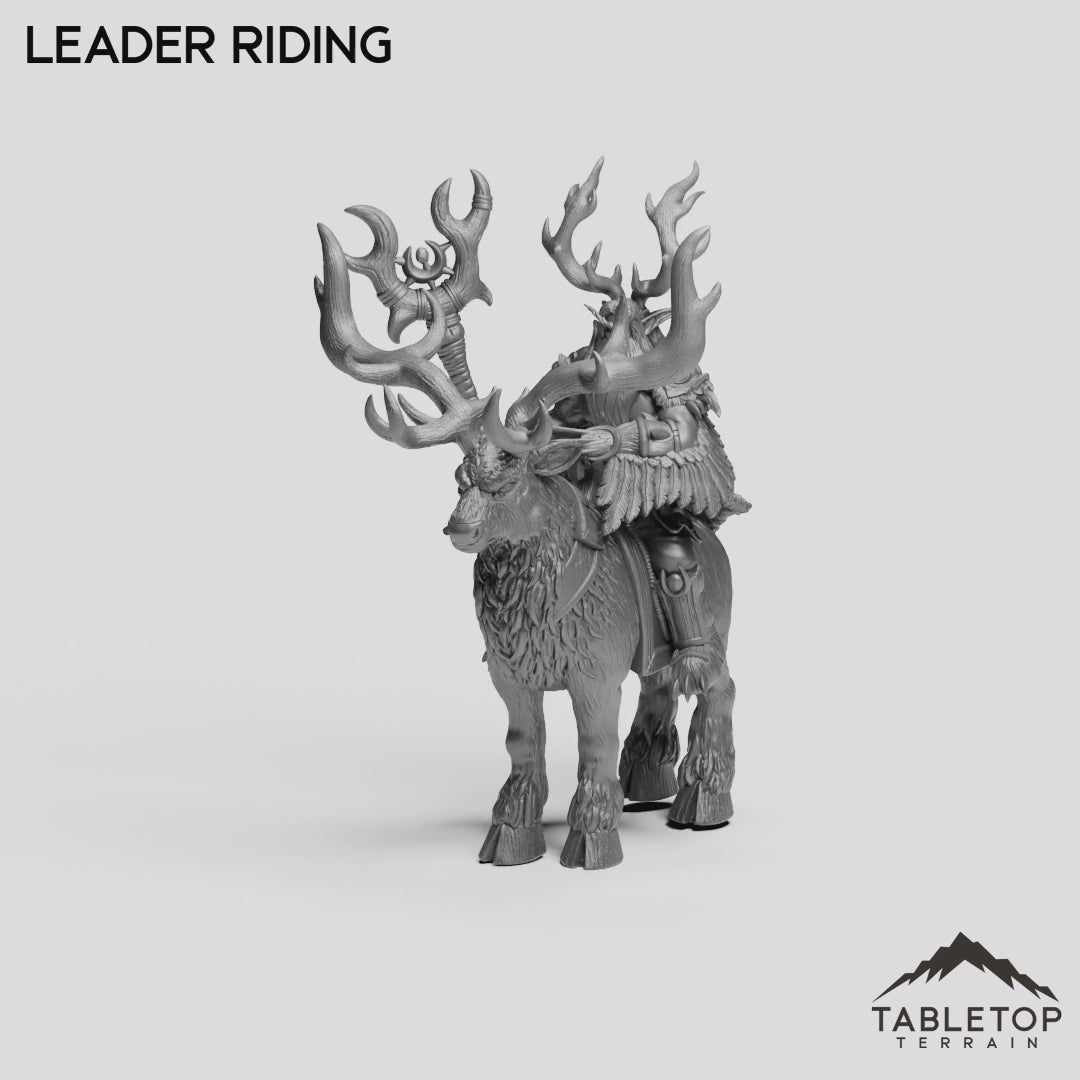 Leader Riding