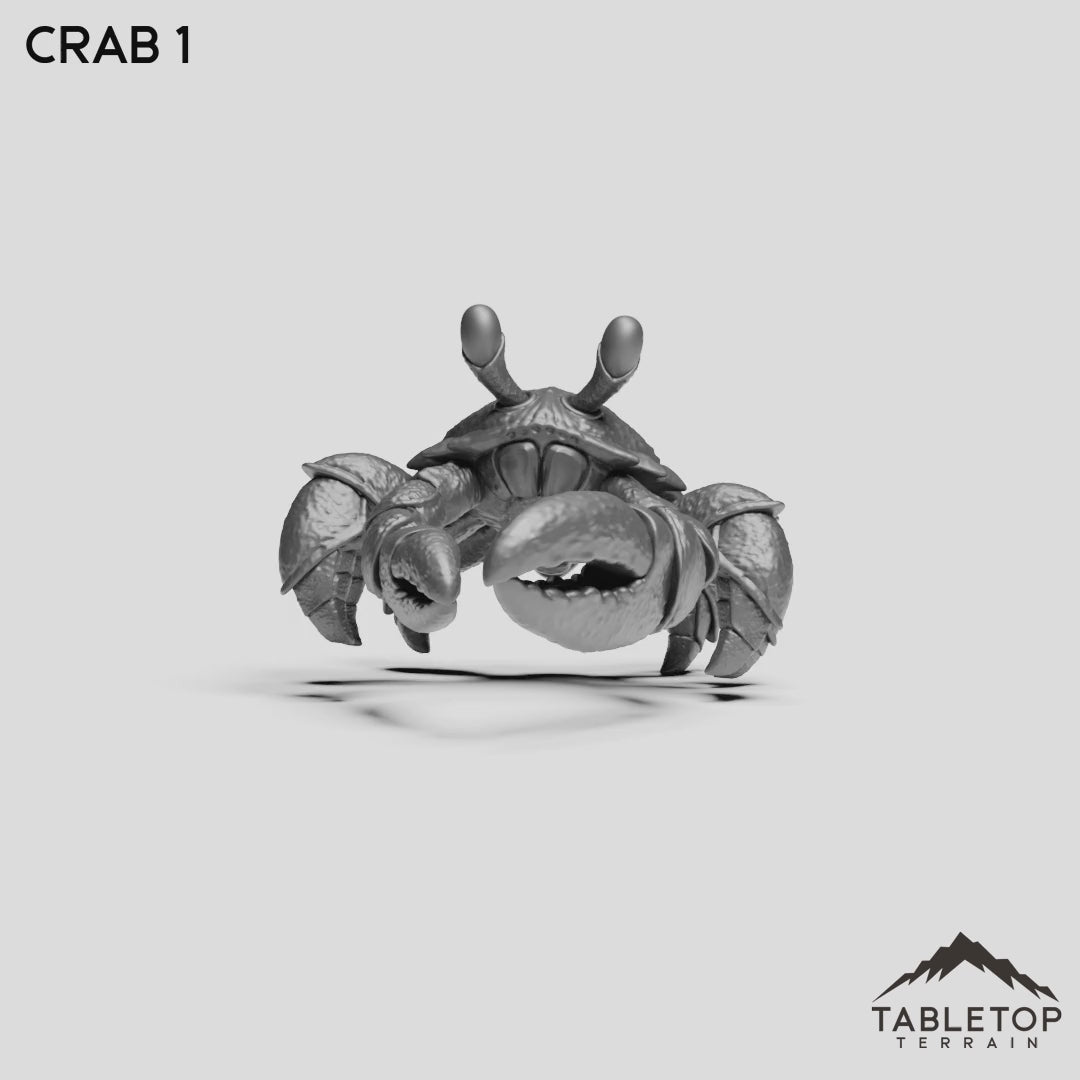 Crab 1