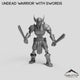 Undead Warrior with Swords