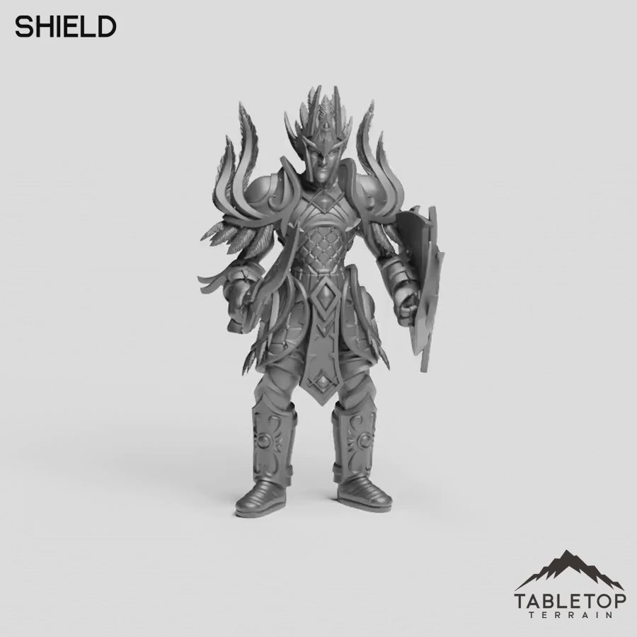 Shield