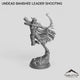 Undead Banshee Leader Shooting