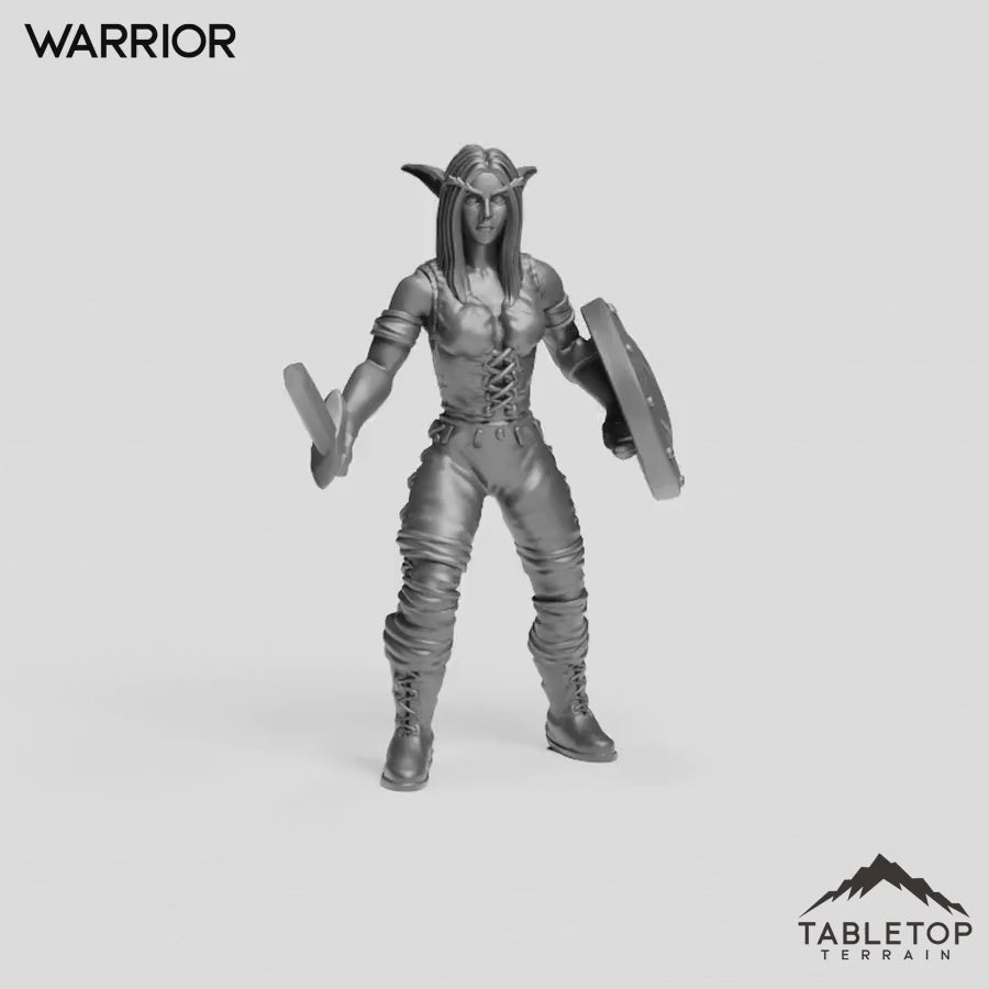Warrior