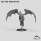 Nether Absorver