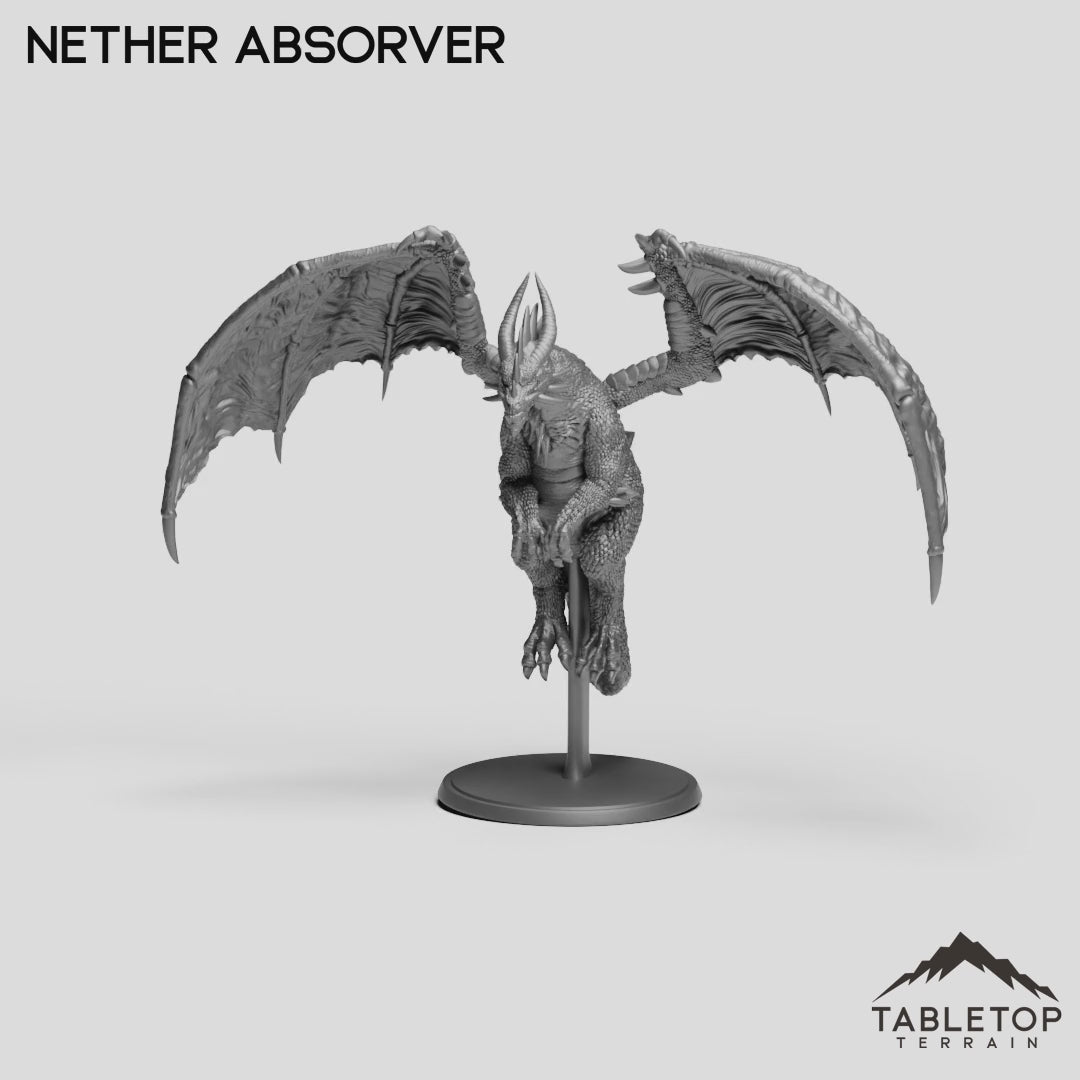 Nether Absorver