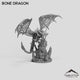 Bone Dragon