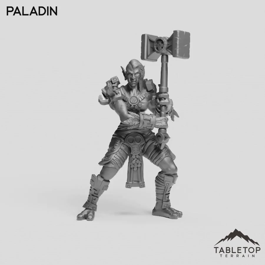 Paladin