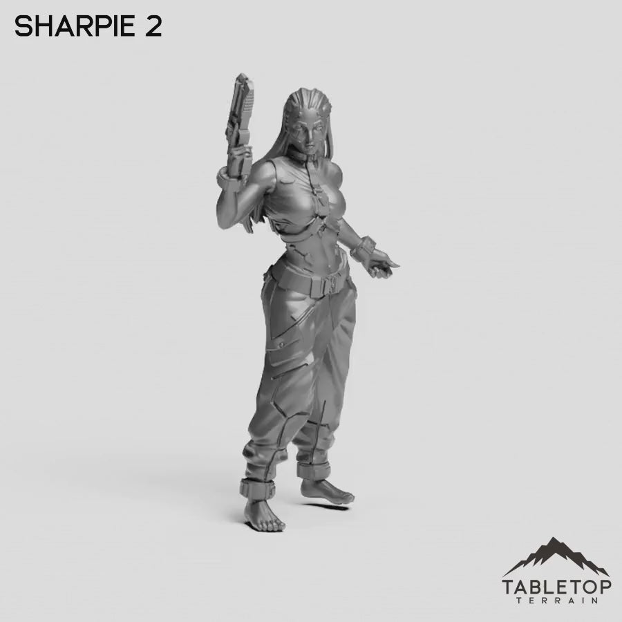 Sharpie 2