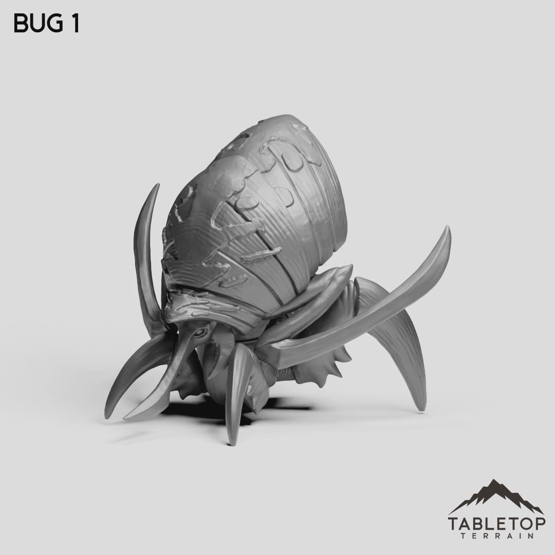 Bug 1