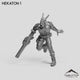 Hekaton 1