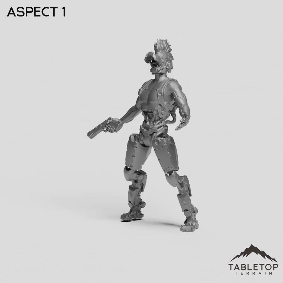 Aspect 1