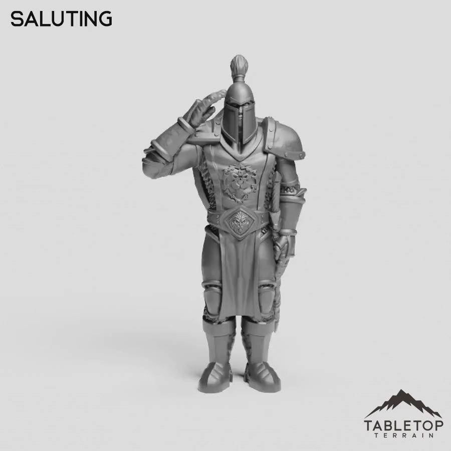 Saluting