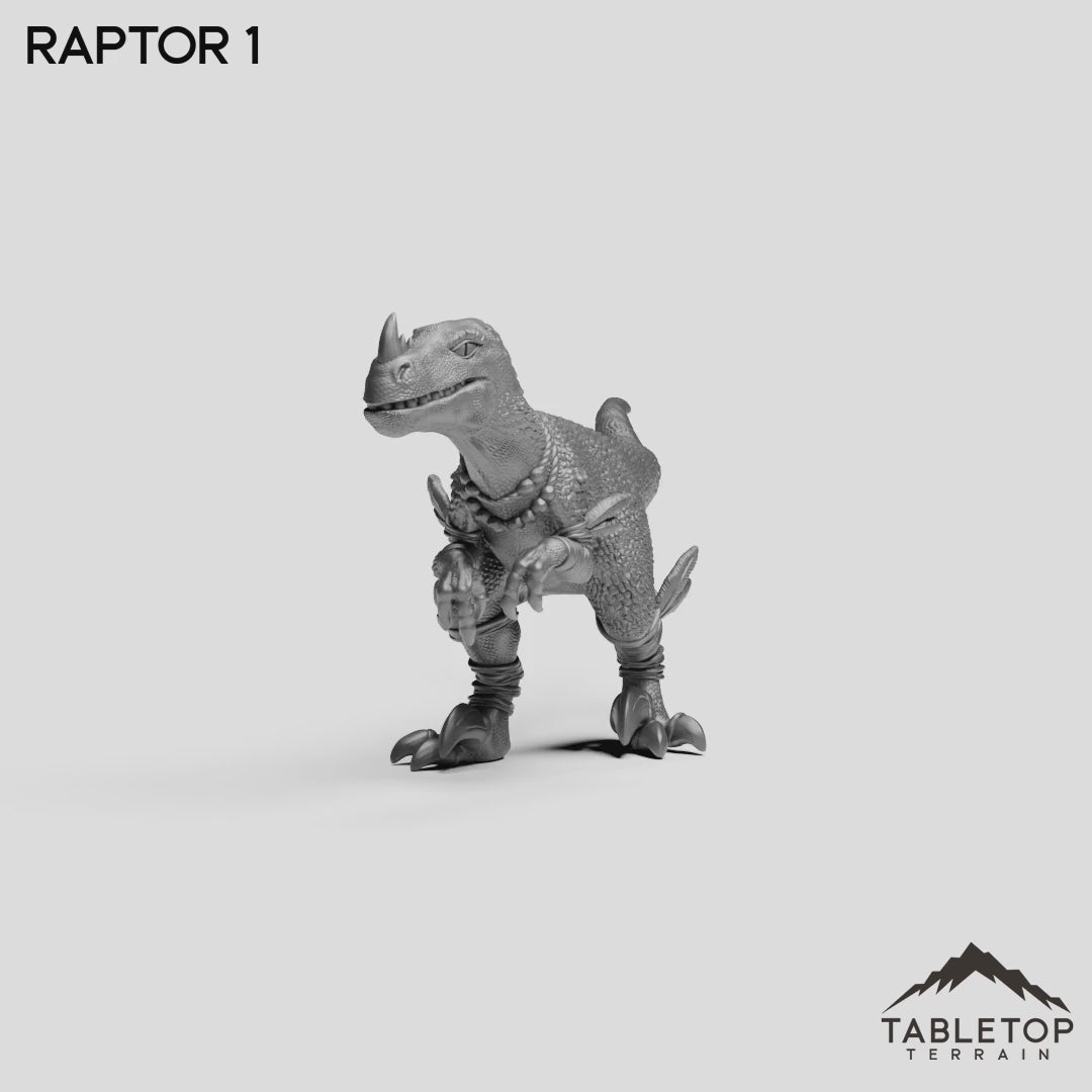 Raptor 1