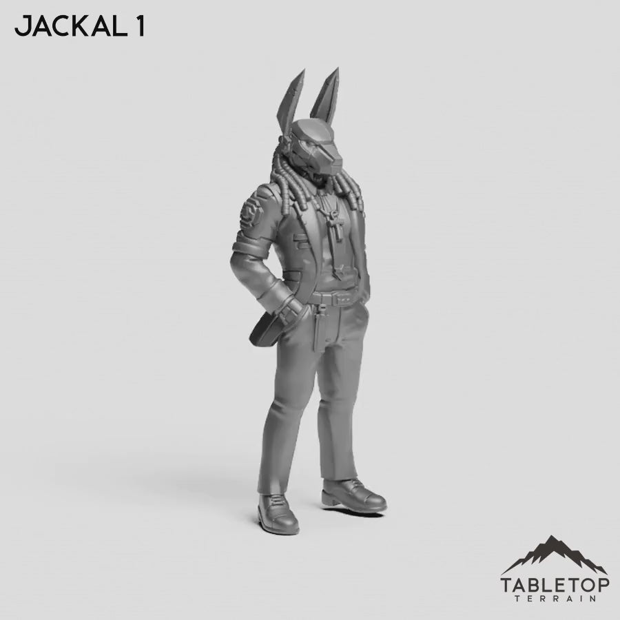 Jackal 1