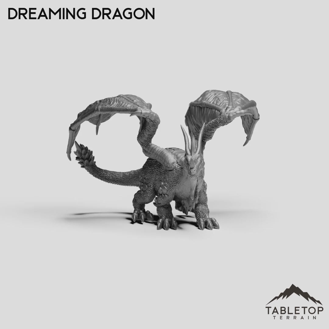 Dreaming Dragon