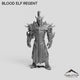 Blood Elf Regent