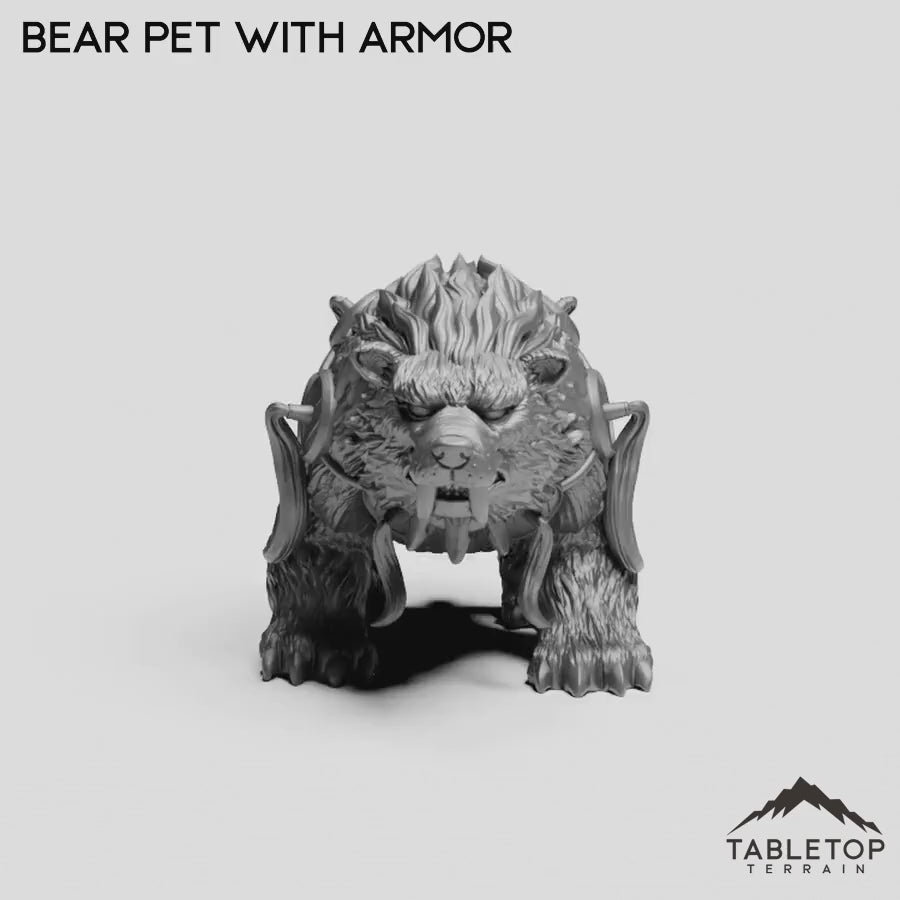 Bear Pet with Armor