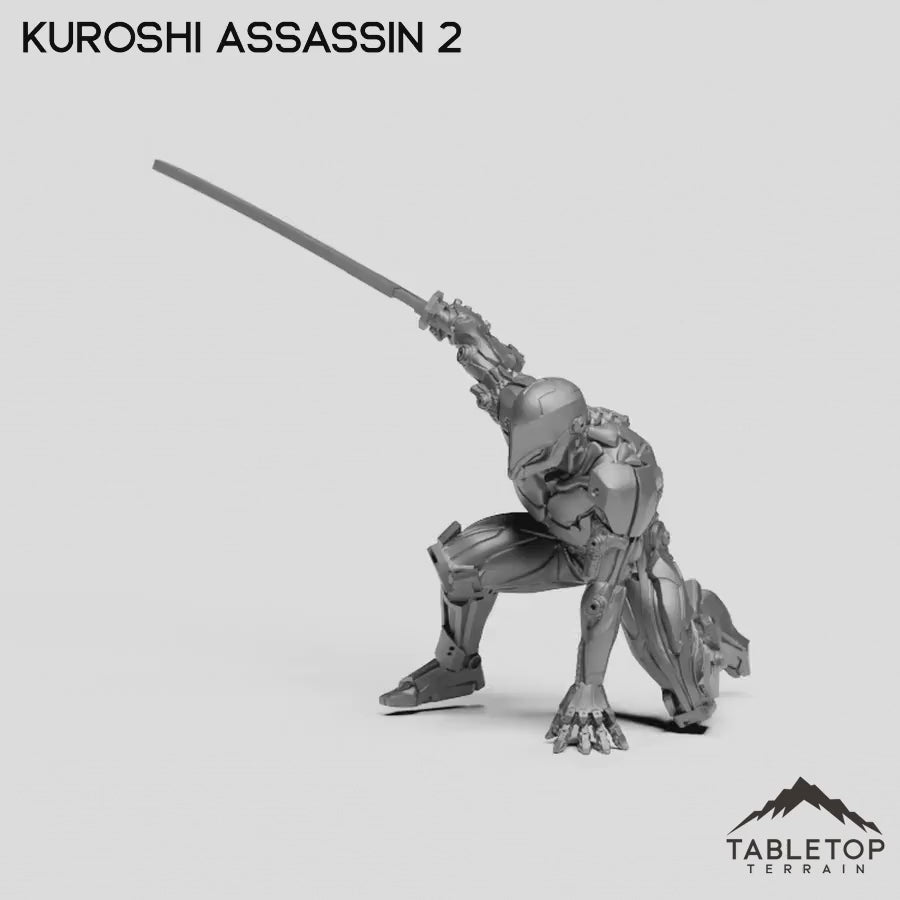 Kuroshi Assassin 2