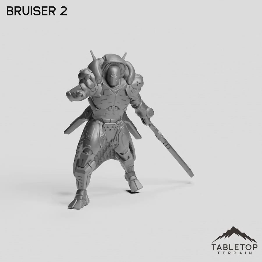 Bruiser 2