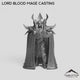 Lord Blood Mage Casting