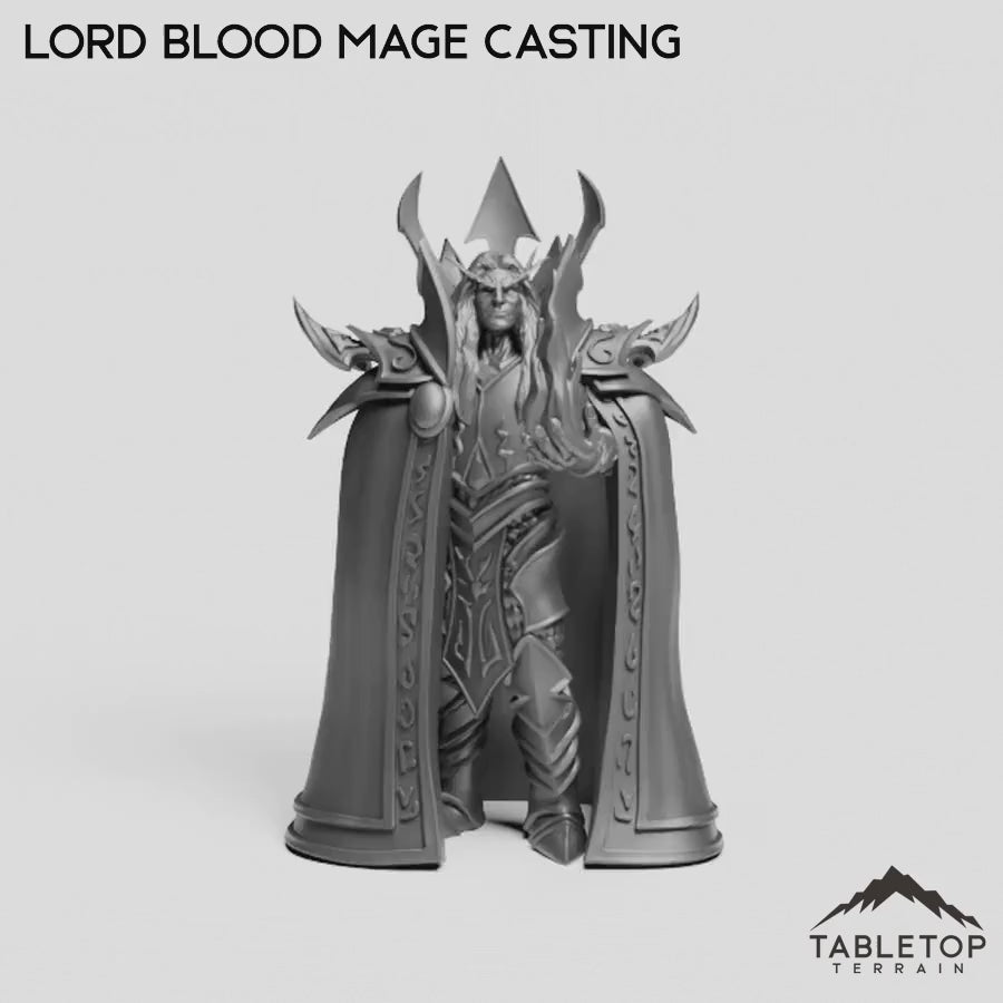 Lord Blood Mage Casting
