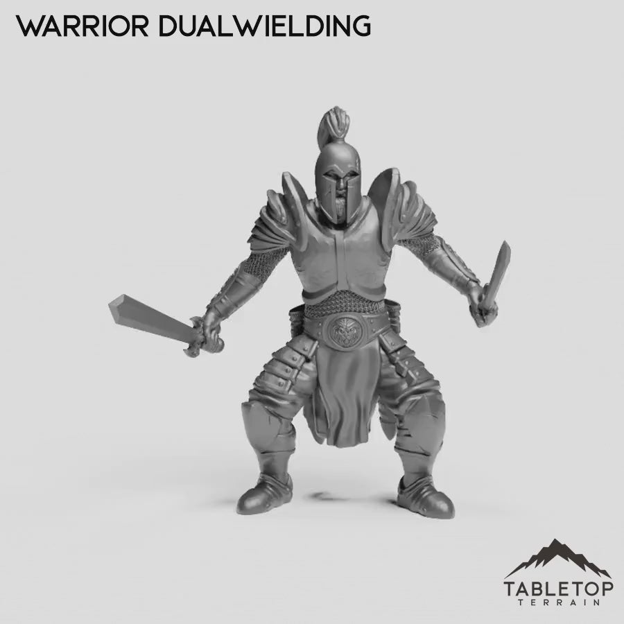 Warrior Dualwielding