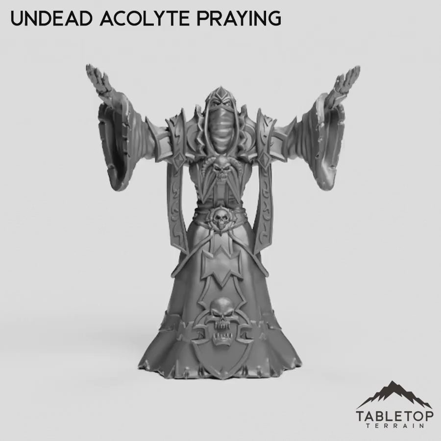 Undead Acolyte Praying