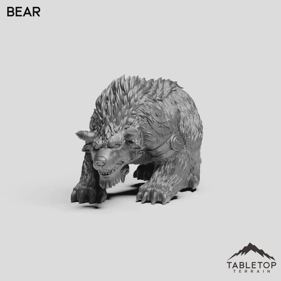 Bear