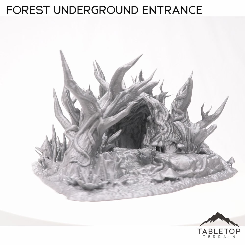 Eingang zur Unterwelt des Waldes