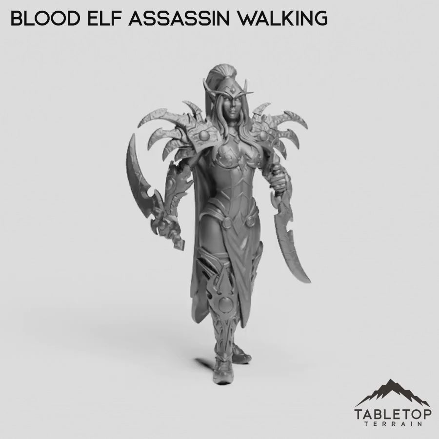 Blood Elf Assassin Walking