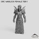 Orc Warlock Female Tier 1