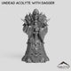 Undead Acolyte with Dagger