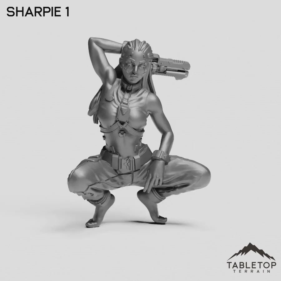 Sharpie 1
