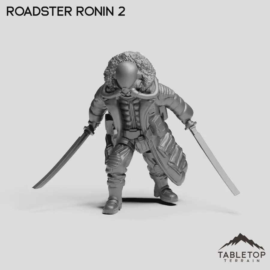 Roadster Ronin 2