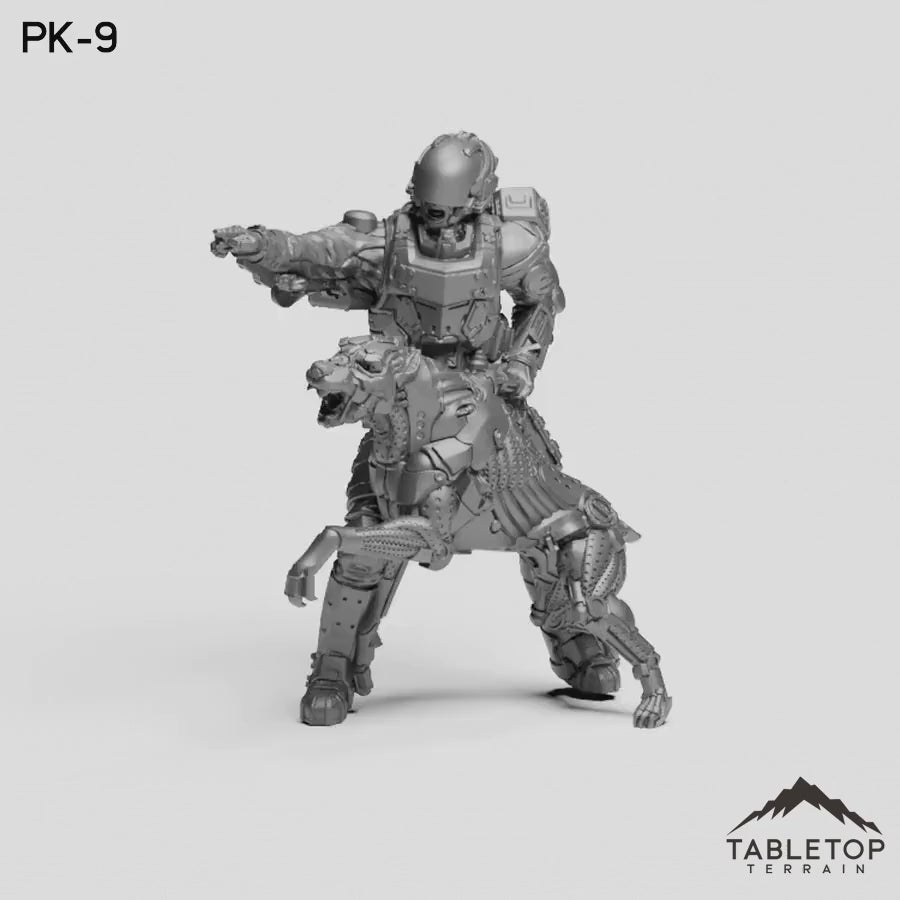 PK-9