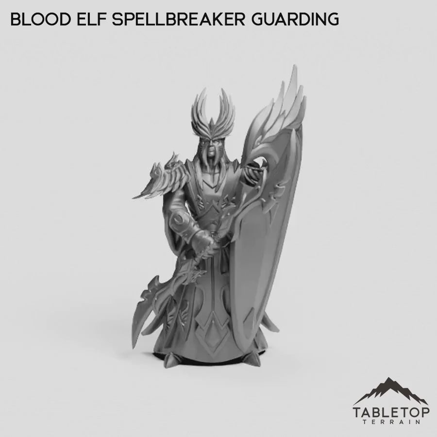 Blood Elf Spellbreaker Guarding