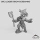 Orc Leader Grom Screaming
