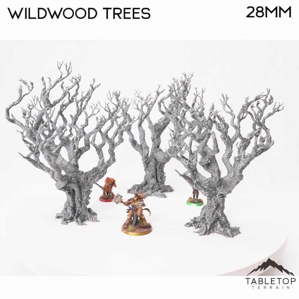 Wildwood-Bäume - Der Dämmersumpf