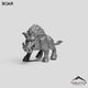 Boar