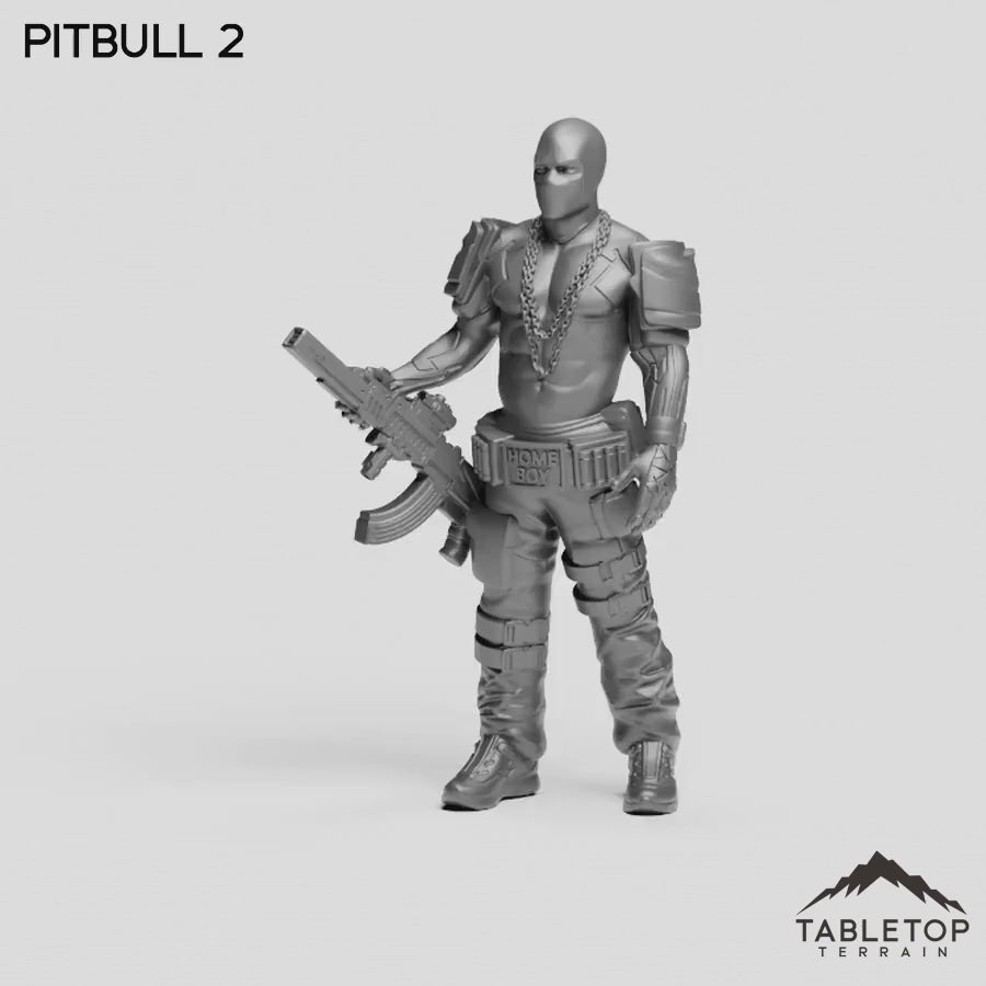 PitBull 2