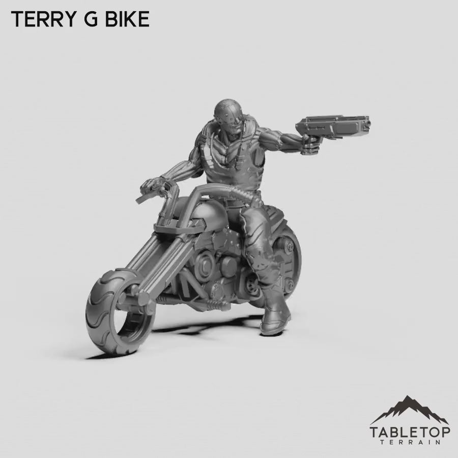 Terry G Bike