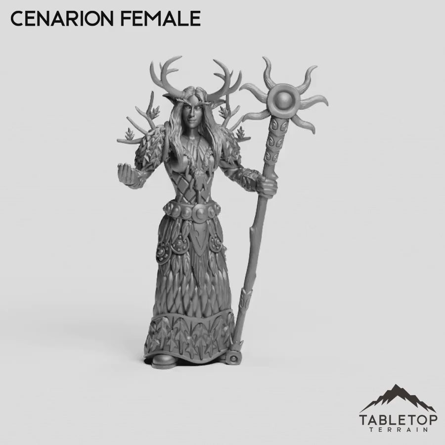 Cenarion Female