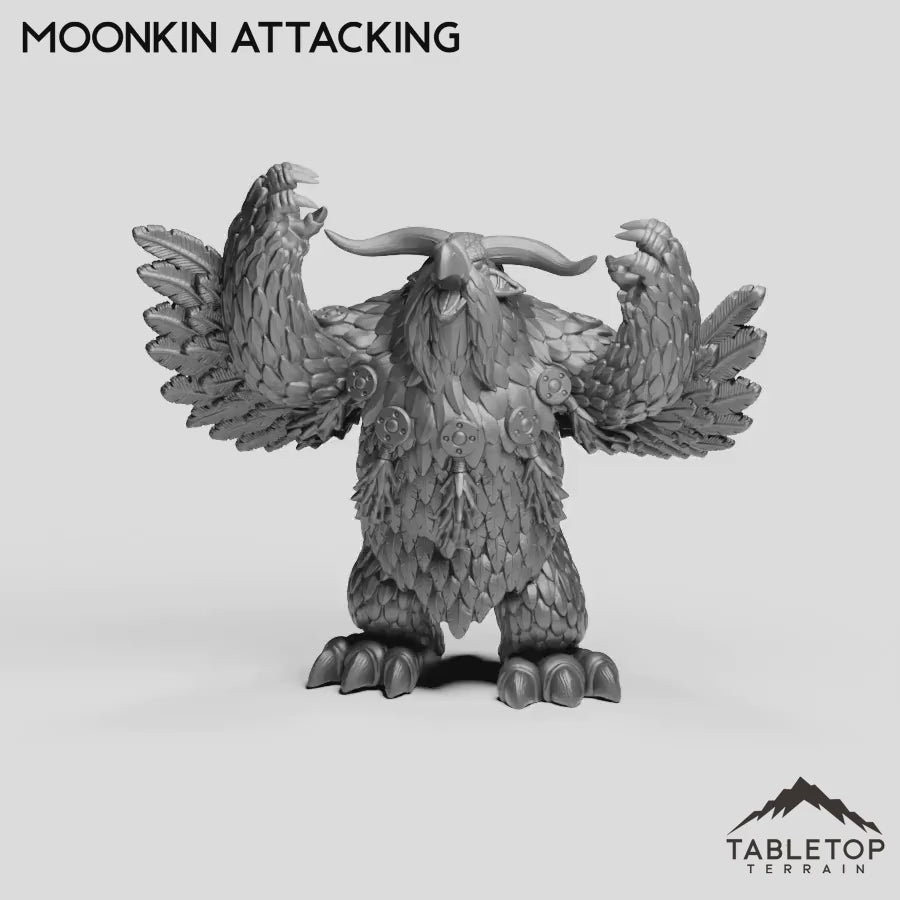Moonkin Attacking