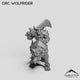 Orc Wolfrider